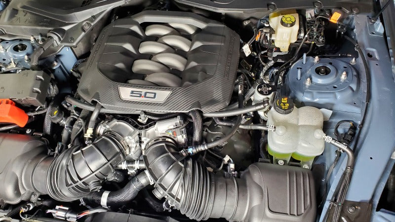 J&L 2024-2025 Ford Mustang 5.0L Oil Separator 3.0 PCV Side - Clear Anodized