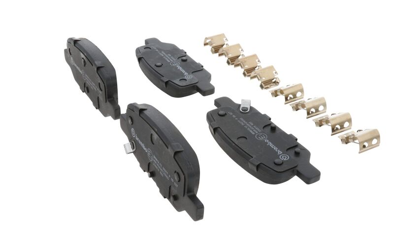 Photo - Close Up